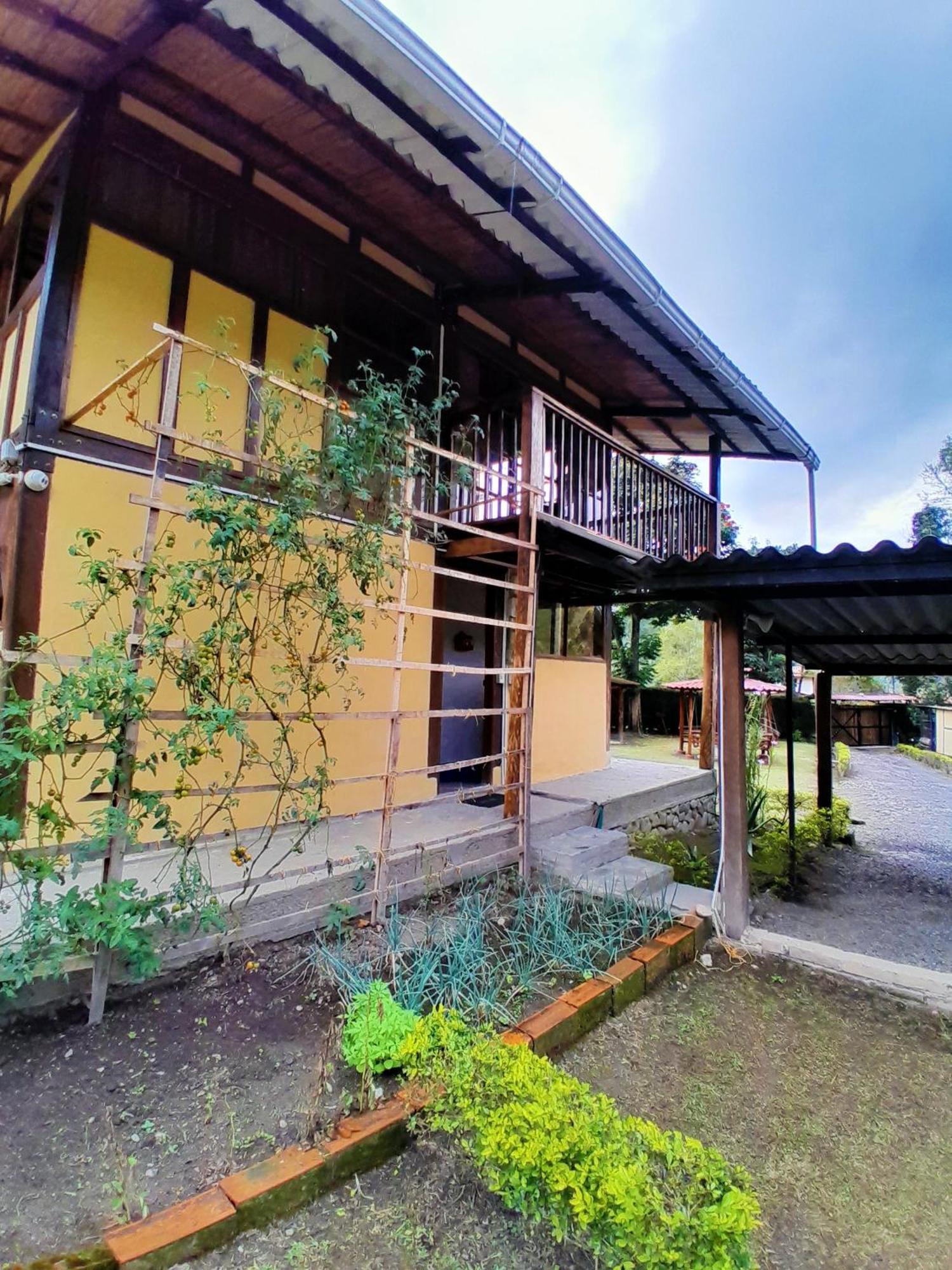 Casa Campo Valle De Cocora Σαλέντο Εξωτερικό φωτογραφία