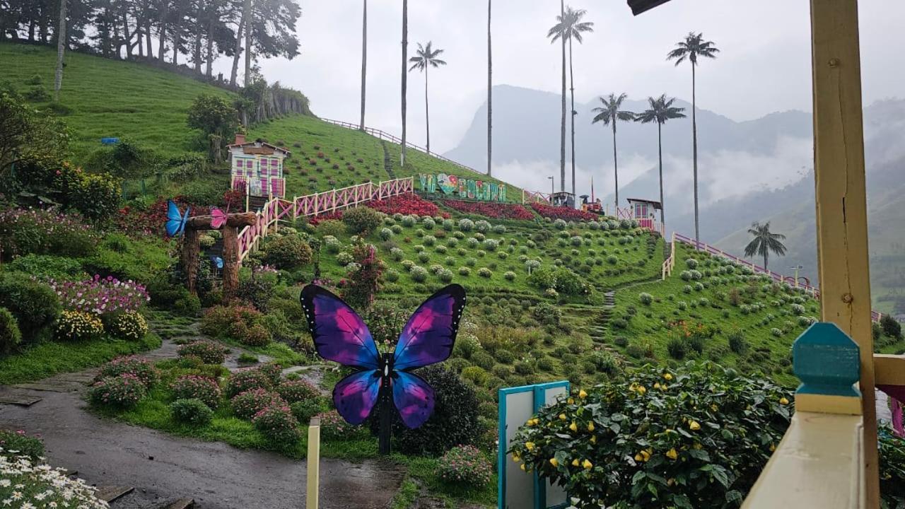 Casa Campo Valle De Cocora Σαλέντο Εξωτερικό φωτογραφία